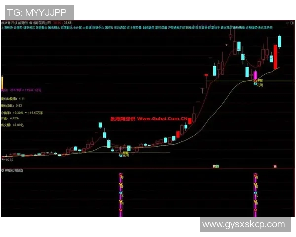 数据模型深度解析选秀胜率走势预测未来胜算几何